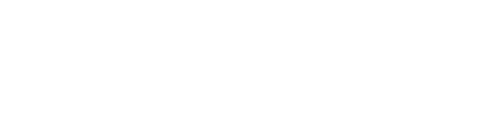 Petr Mika Logo 25 transparent
